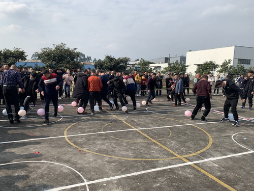 公司举办2019年度工作表彰暨2020年迎春趣味运动会