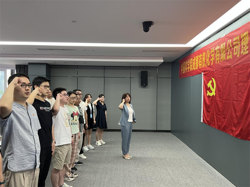 公司党委召开第三次理论学习中心组学习扩大会 暨主题教育专题会议