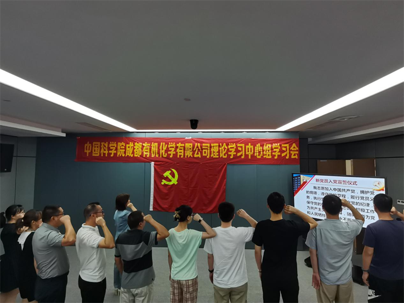 公司党委召开第三次理论学习中心组学习扩大会 暨主题教育专题会议